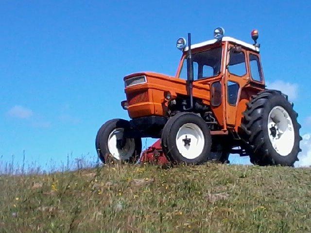 Fiat 800 billede 19