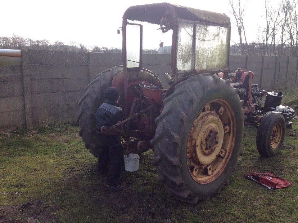 David Brown 990 billede 13