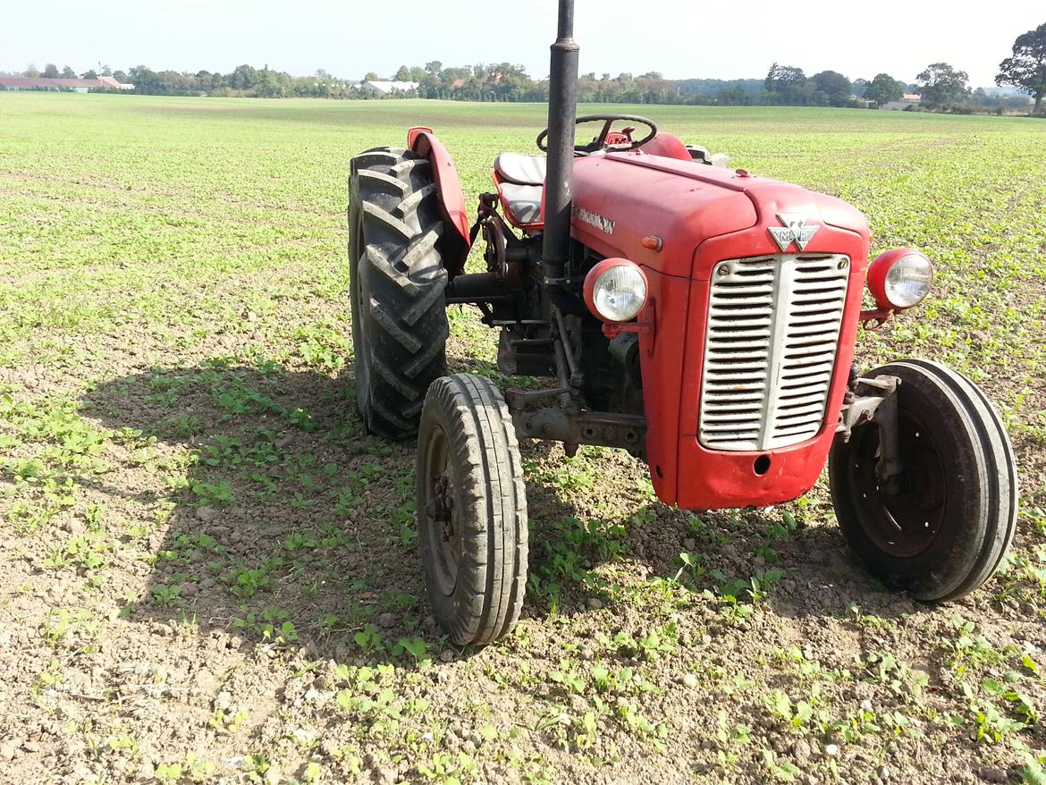 Massey Ferguson FE 35 billede 3