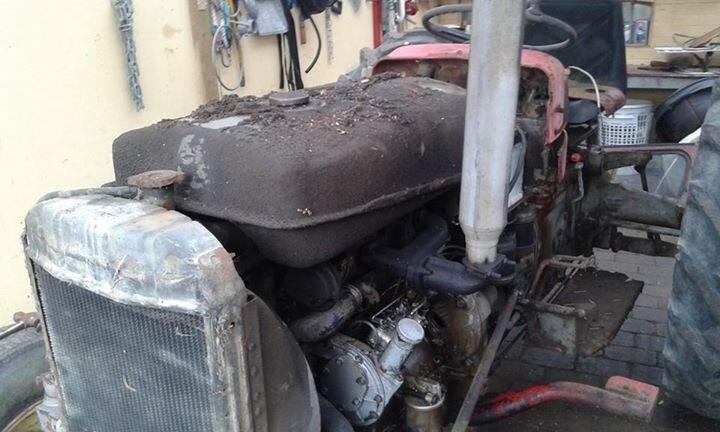 Massey Ferguson 135 billede 2