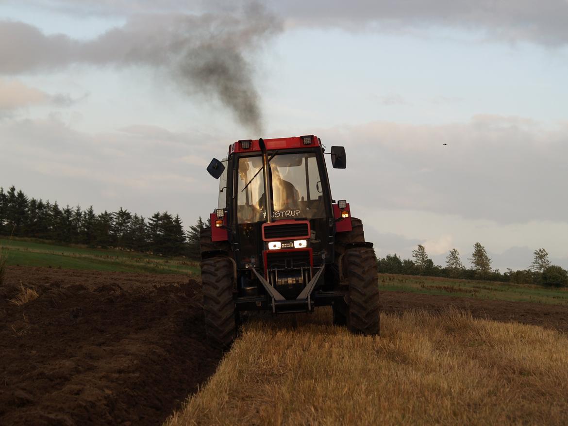 Case IH 956 XL billede 9