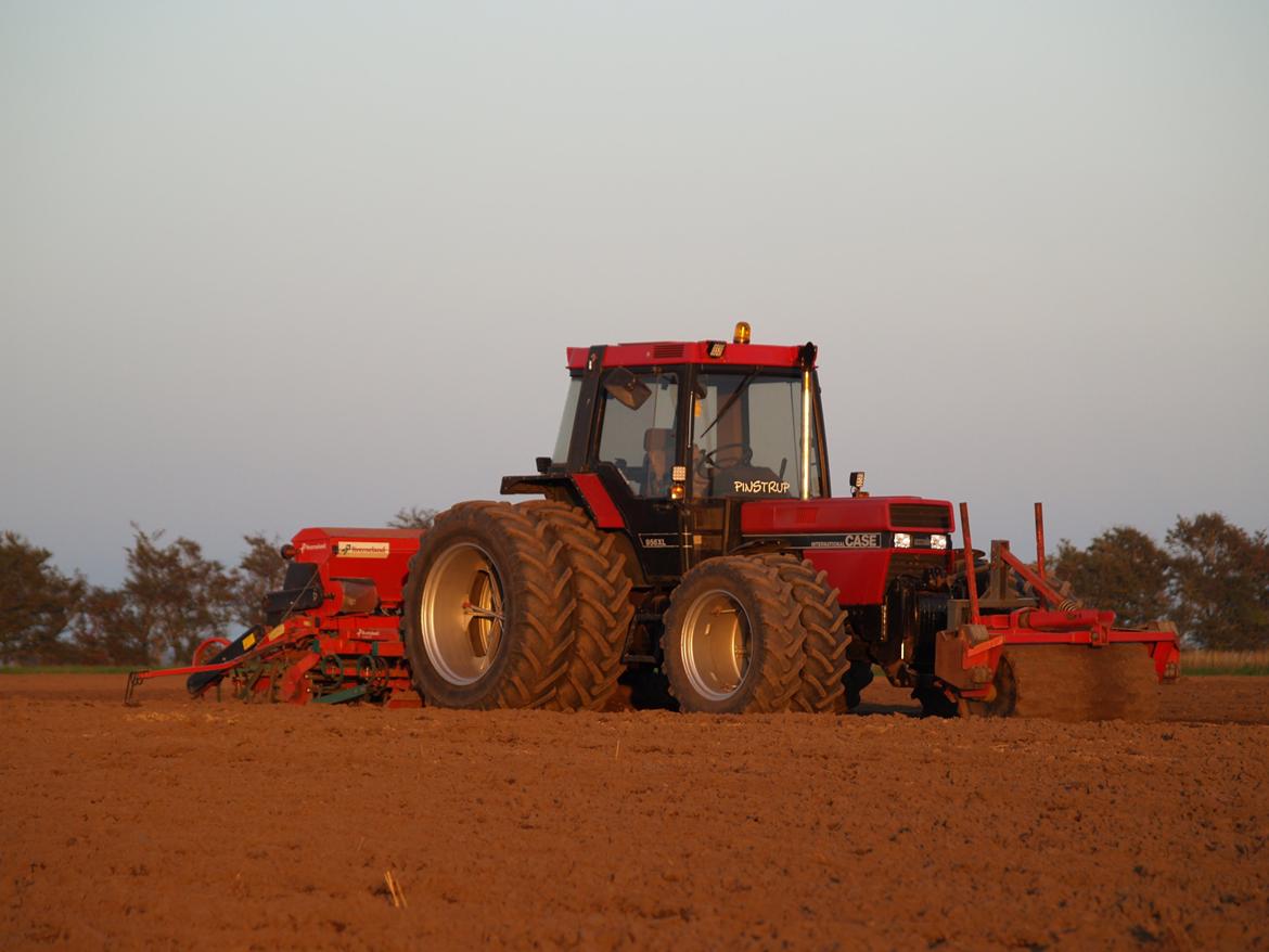 Case IH 956 XL - Dejlig aften med såmaskinen billede 12