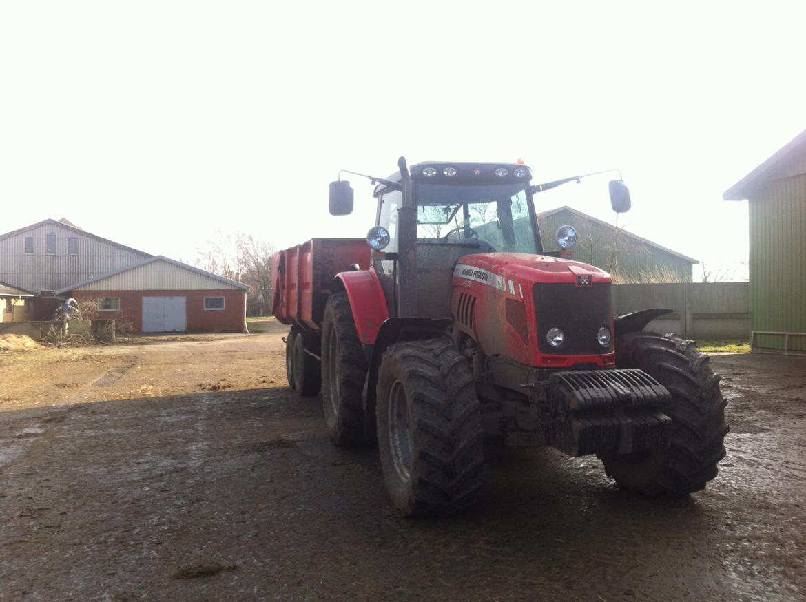 Massey Ferguson 7475 DYNA VT - Kører møg fra (Vinterferie 2014) billede 4