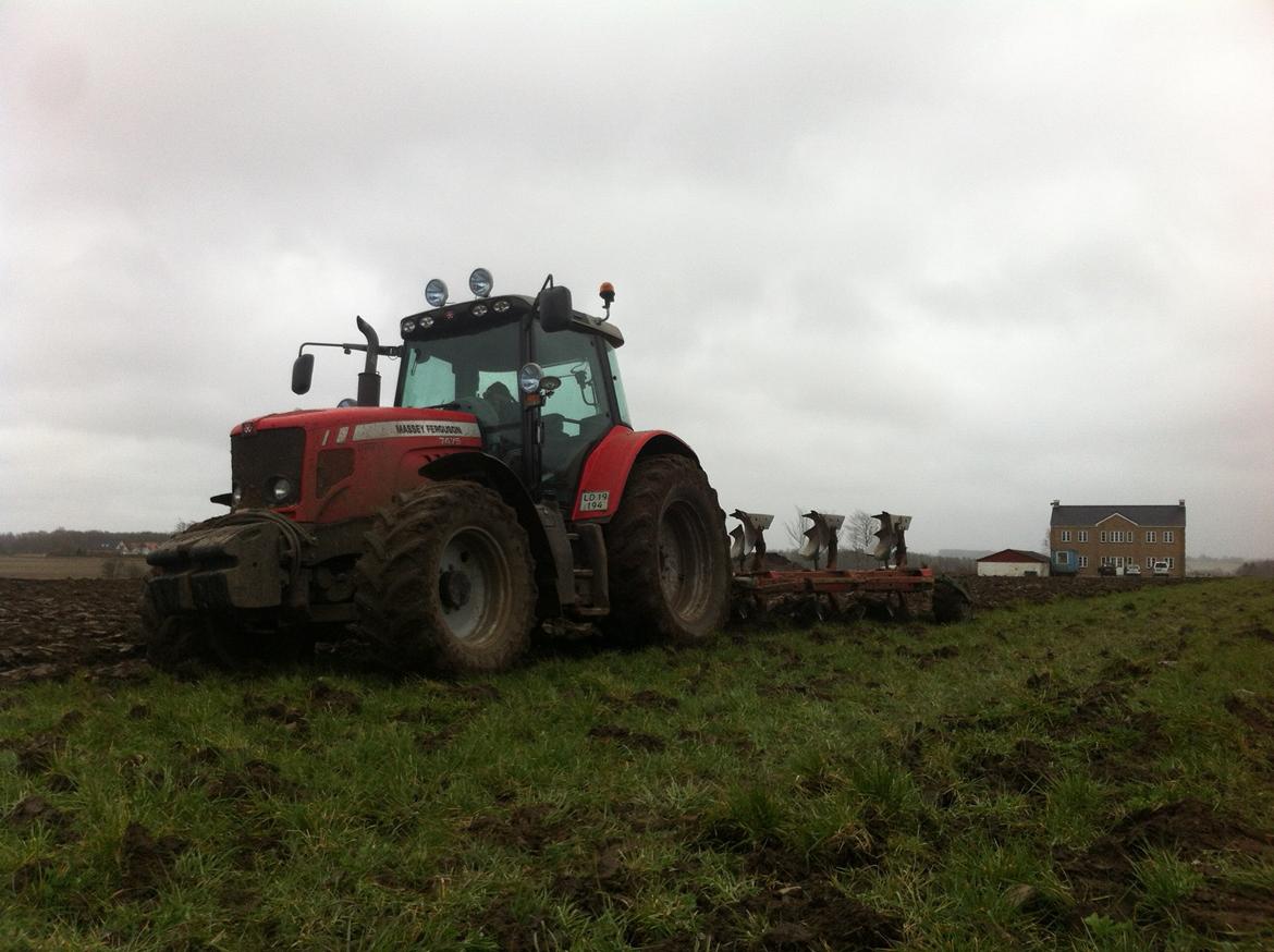 Massey Ferguson 7475 DYNA VT - Pløjer gammel græsmark (2014) billede 5