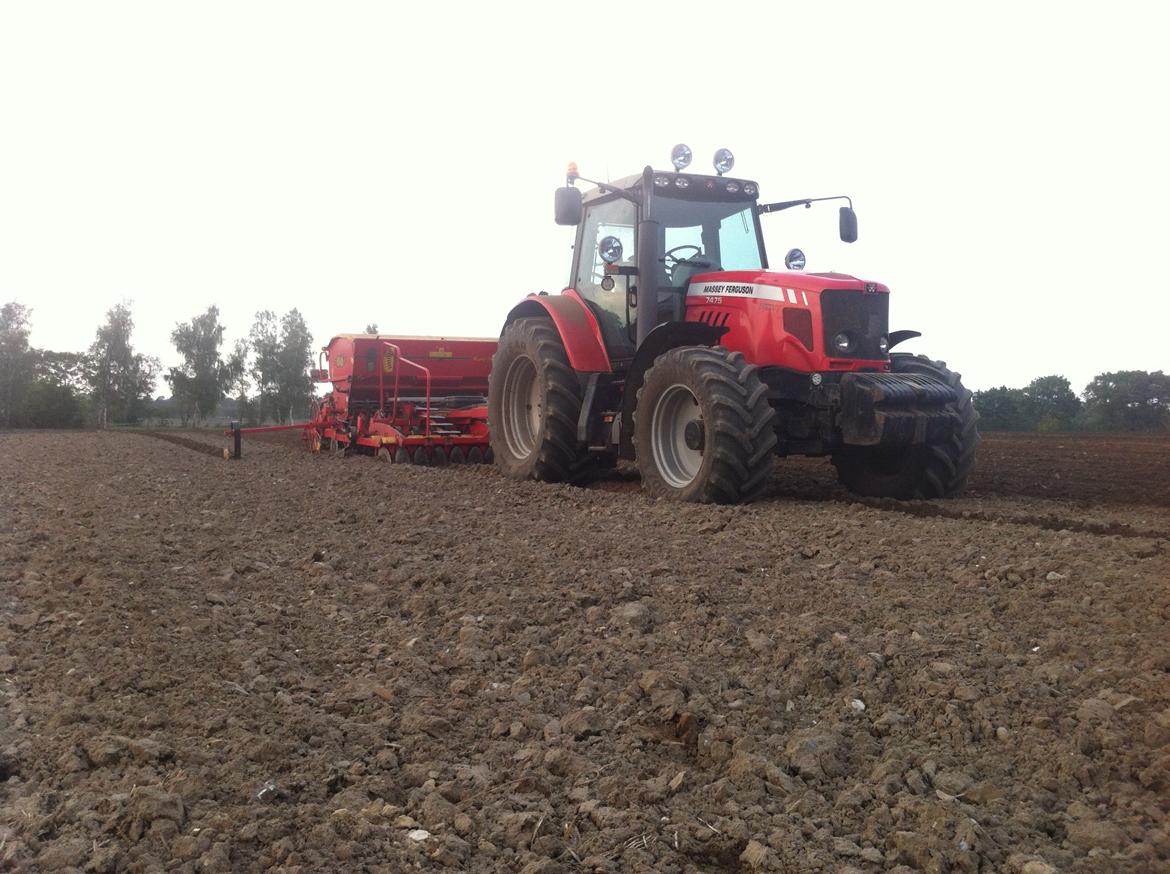 Massey Ferguson 7475 DYNA VT - Første gang vi så rug selv (Efterår 2014) billede 8