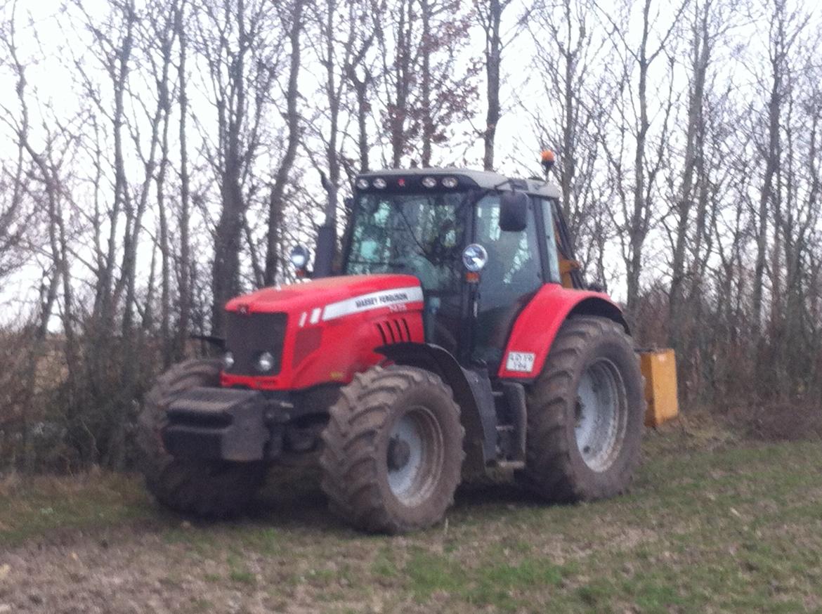 Massey Ferguson 7475 DYNA VT - Hegnsklipning (Efterår 2013) billede 3