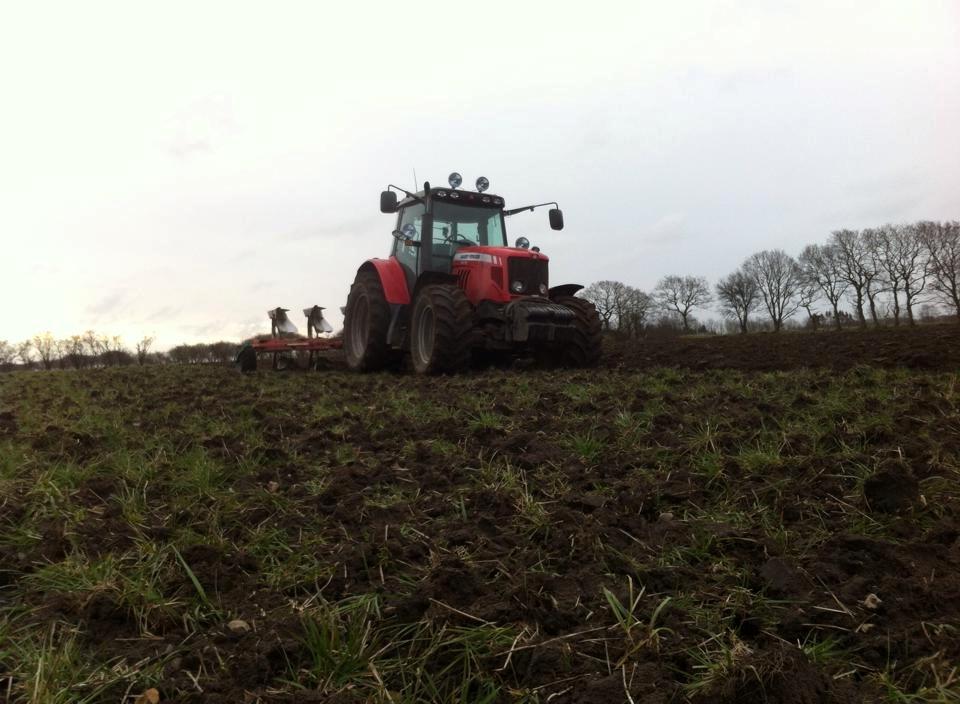 Massey Ferguson 7475 DYNA VT - Pløjer gammel græsmark (2013) billede 1