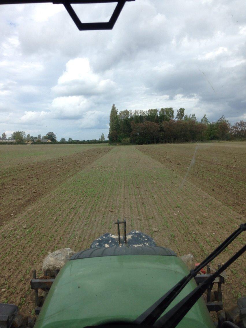 Fendt 516 Vario TMS. billede 4