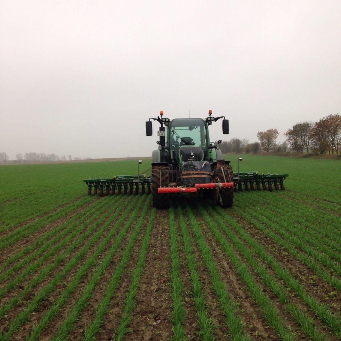 Fendt 516 Vario TMS. billede 11