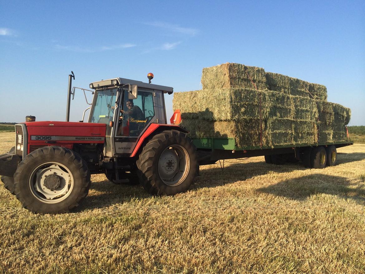 Massey Ferguson 3095 billede 9