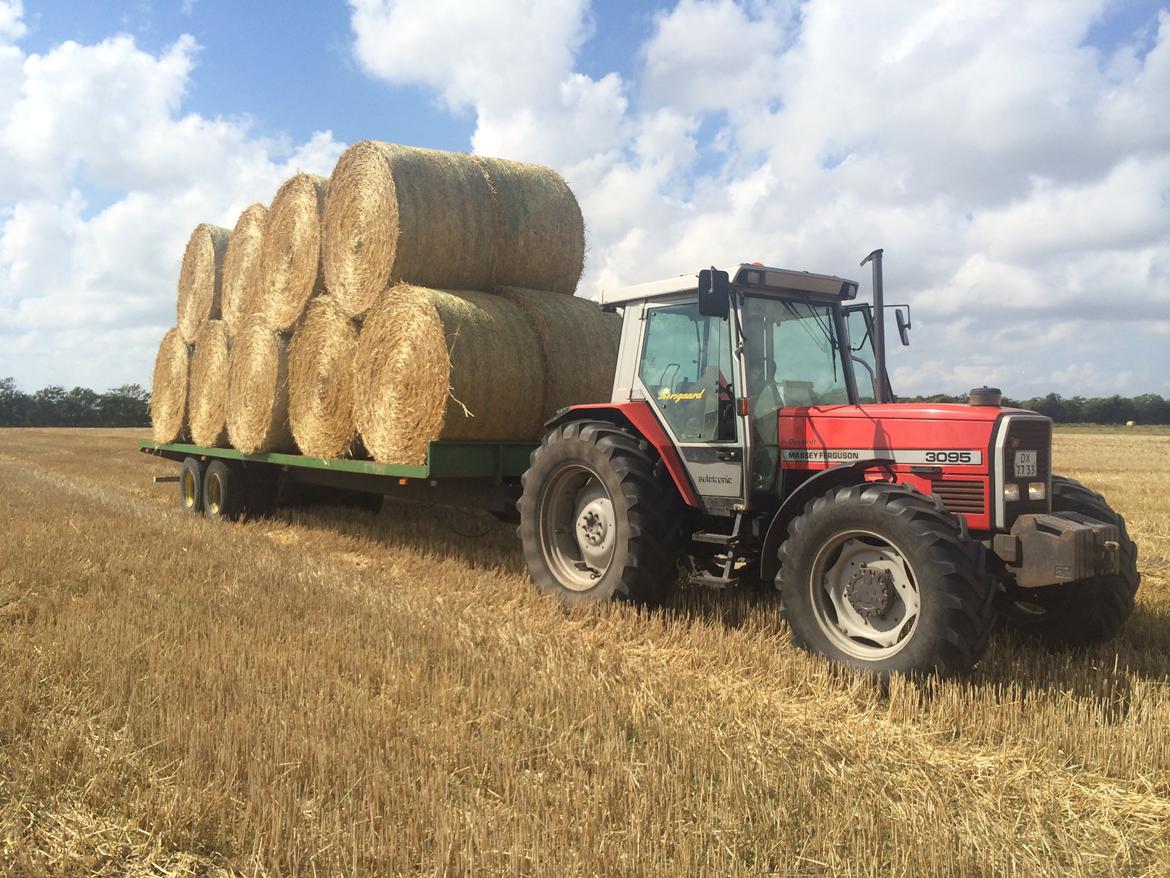 Massey Ferguson 3095 billede 10