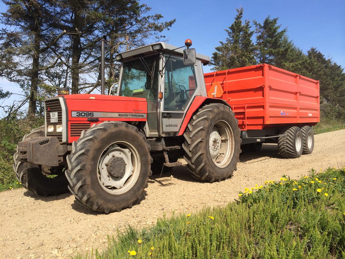 Massey Ferguson 3095 billede 11