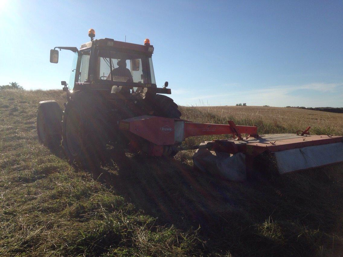 Case IH 1056 billede 2