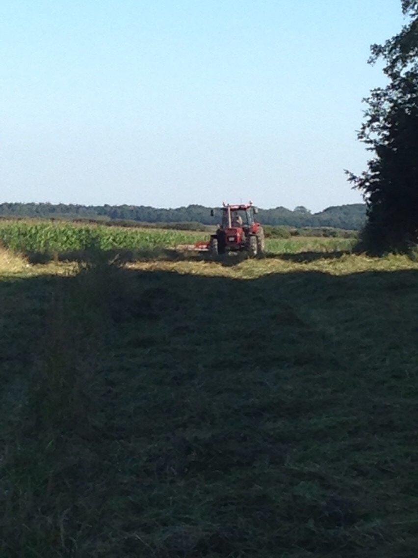 Case IH 1056 billede 3