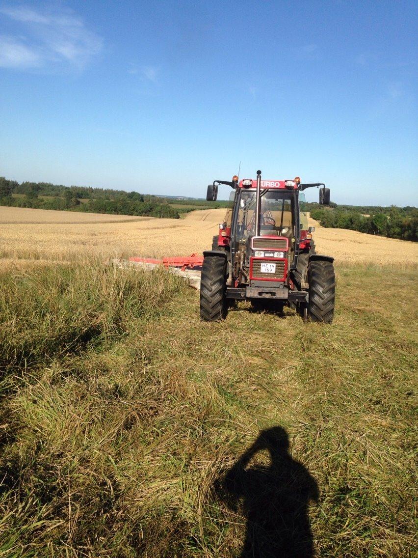 Case IH 1056 billede 4