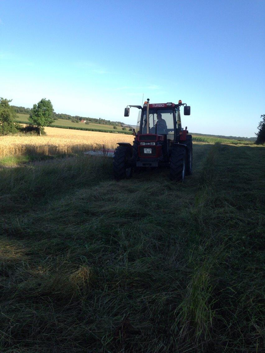 Case IH 1056 billede 5