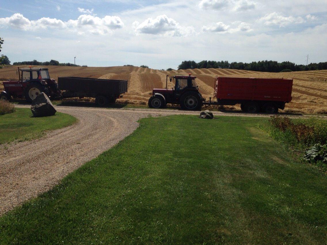 Case IH 1056 billede 6