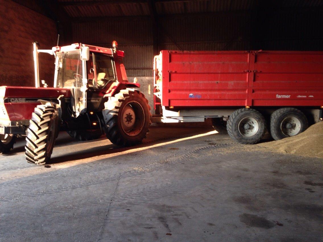 Case IH 1056 billede 7