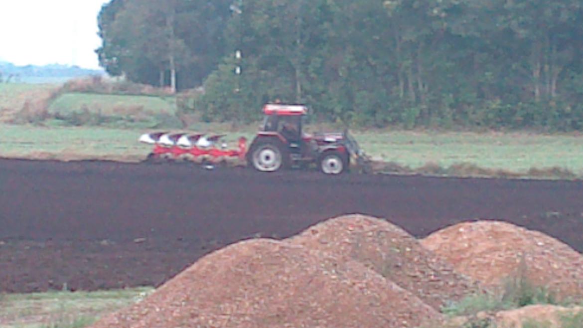 Case IH 1056 billede 11