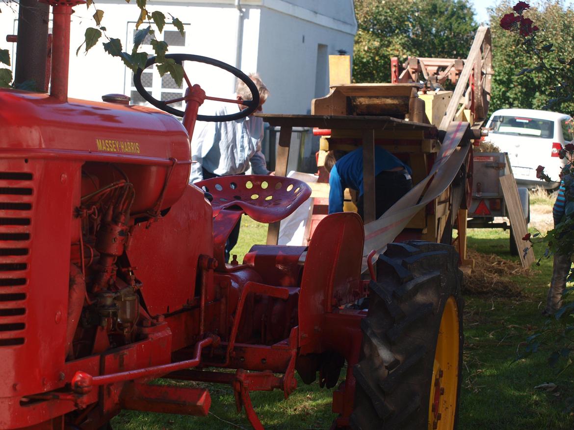 Massey Harris Pony 812 - Trækker et gammelt tærskeværk. billede 19