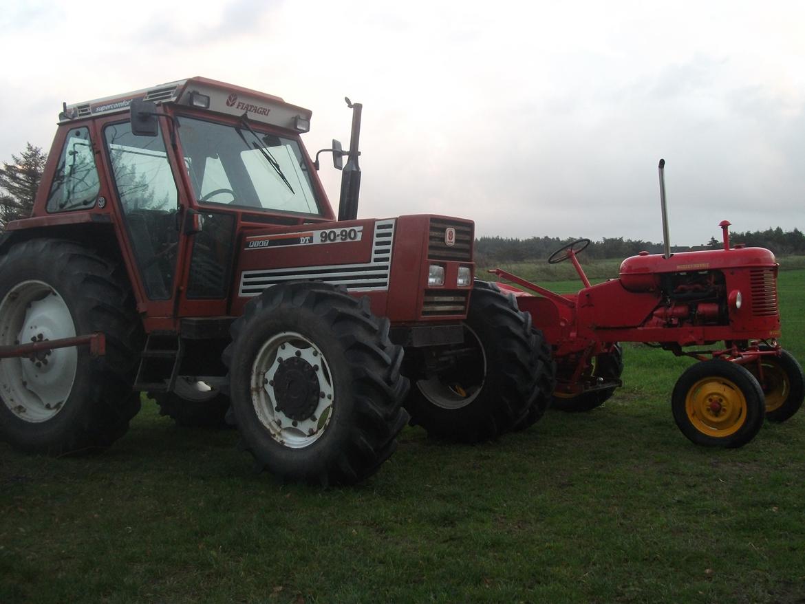 Massey Harris Pony 812 billede 20