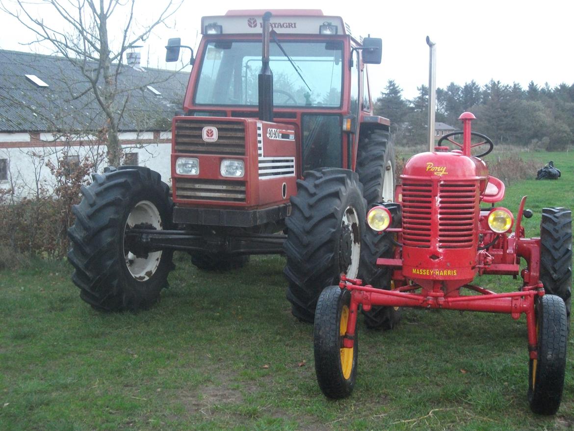 Massey Harris Pony 812 billede 16