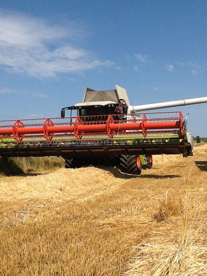 Fendt 933 - vores mejetærsker lexion 560 billede 20