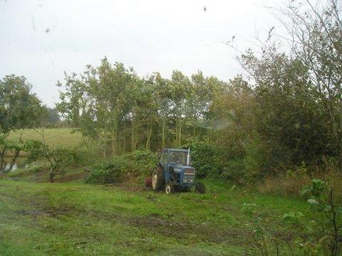 Ford 2000 billede 5