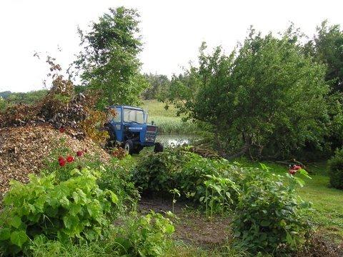 Ford 2000 billede 4