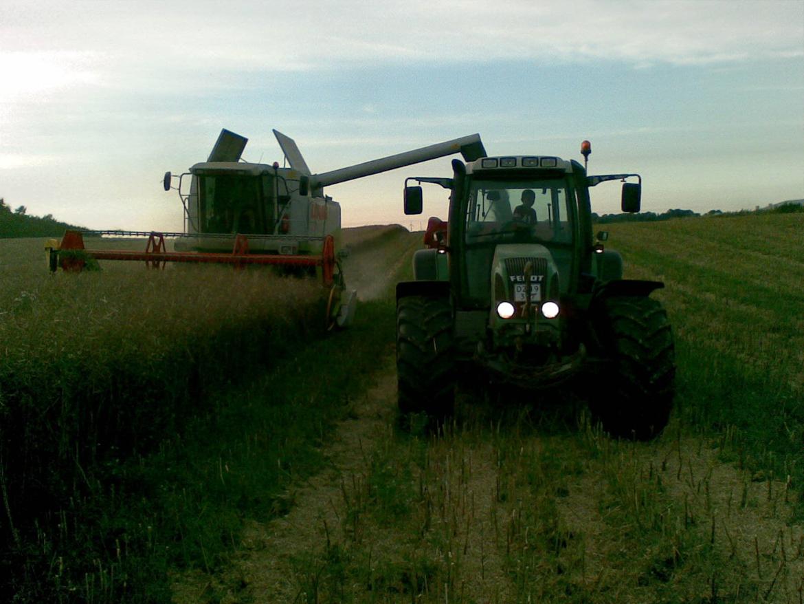 Fendt 716 - køre korn billede 3