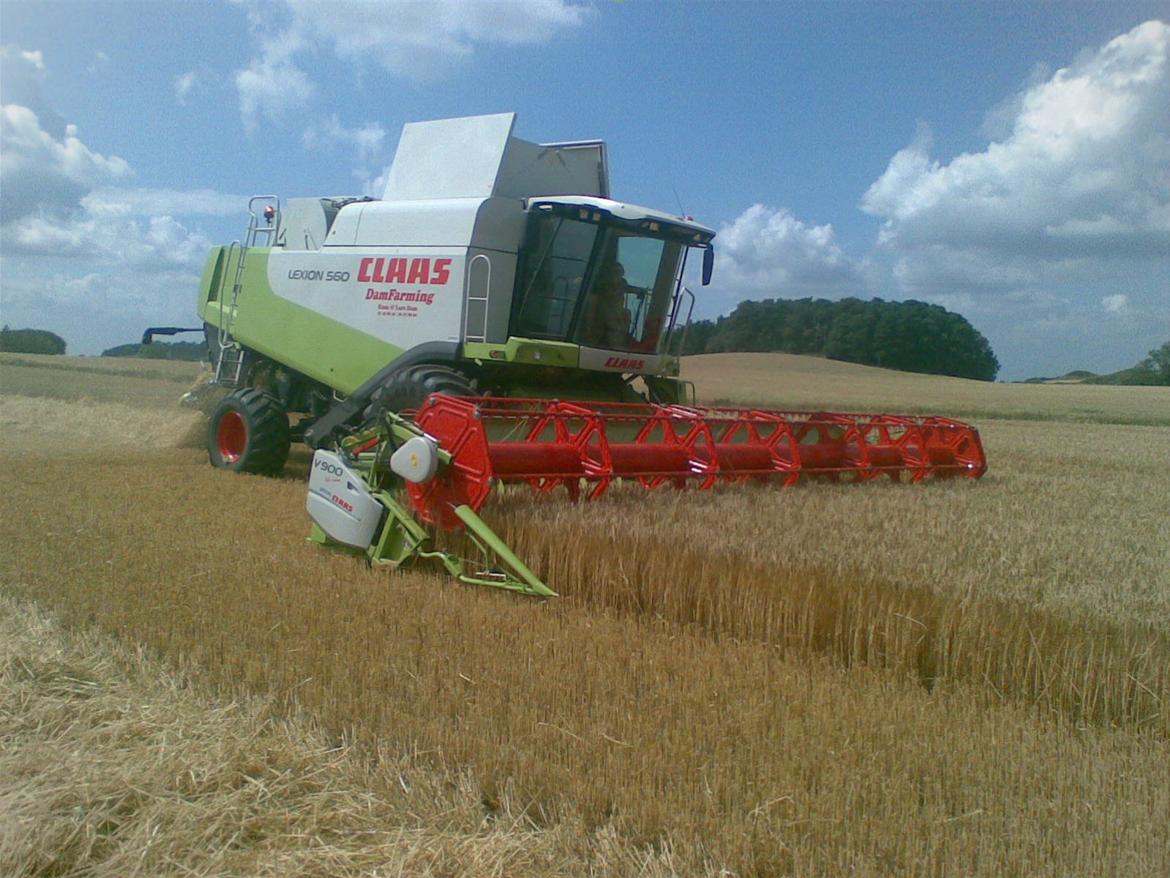Fendt 716 - claas lexion 560 høster billede 19