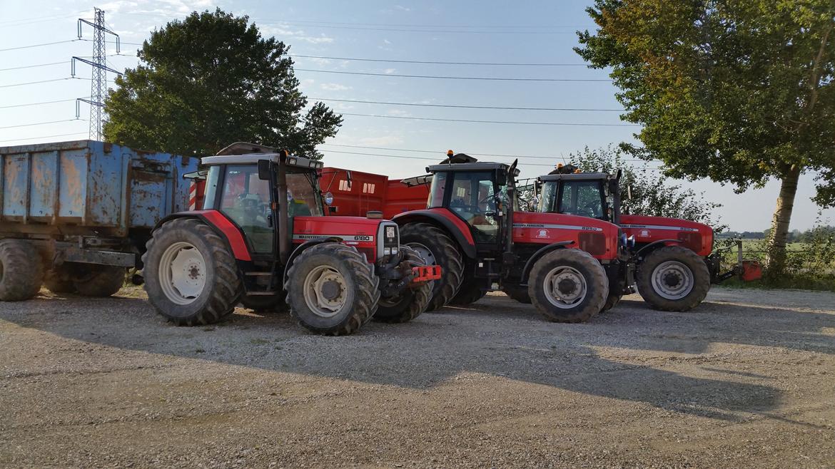 Massey Ferguson 8250 billede 1