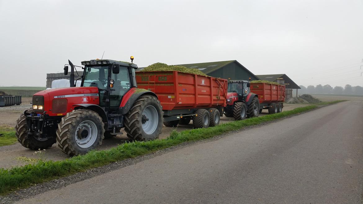 Massey Ferguson 8250 billede 2