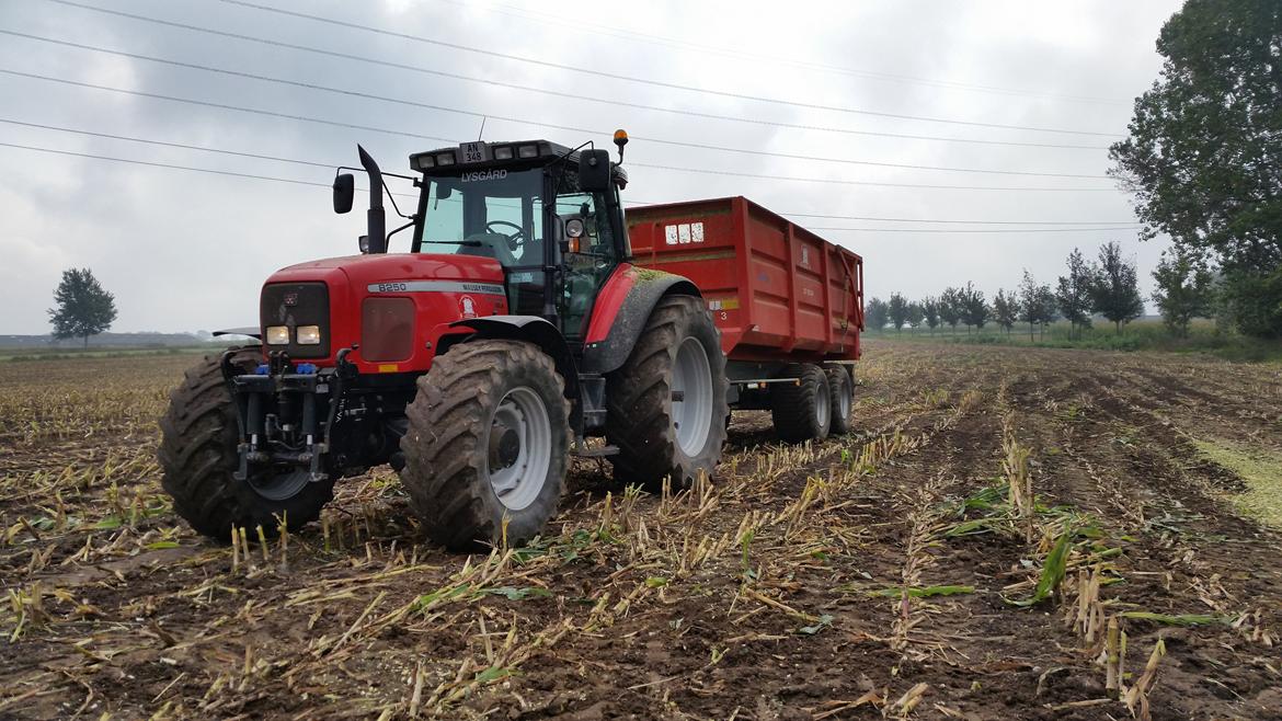 Massey Ferguson 8250 billede 3