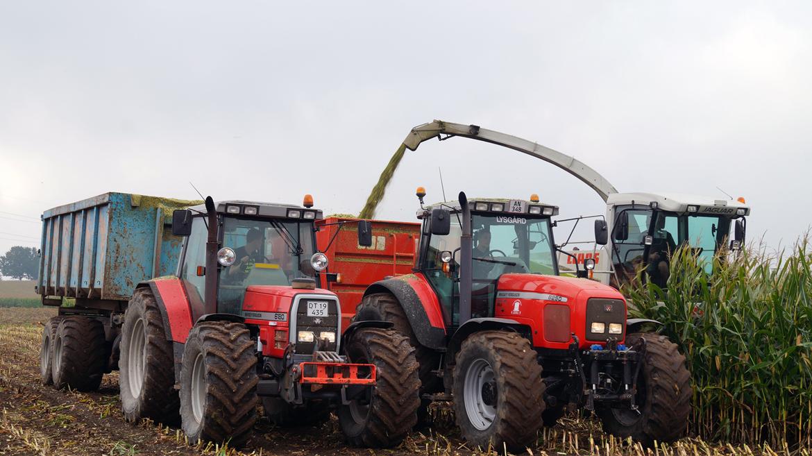 Massey Ferguson 8250 billede 12