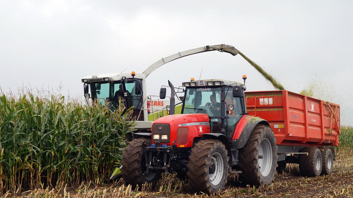 Massey Ferguson 8250 billede 13