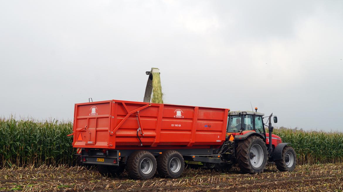 Massey Ferguson 8250 billede 15