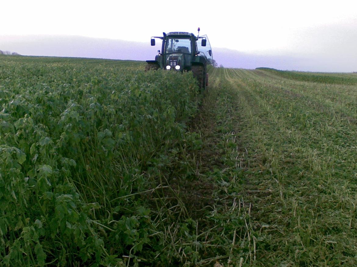 Fendt 716 - da vi pudsede de høje olieræddihe ned billede 22