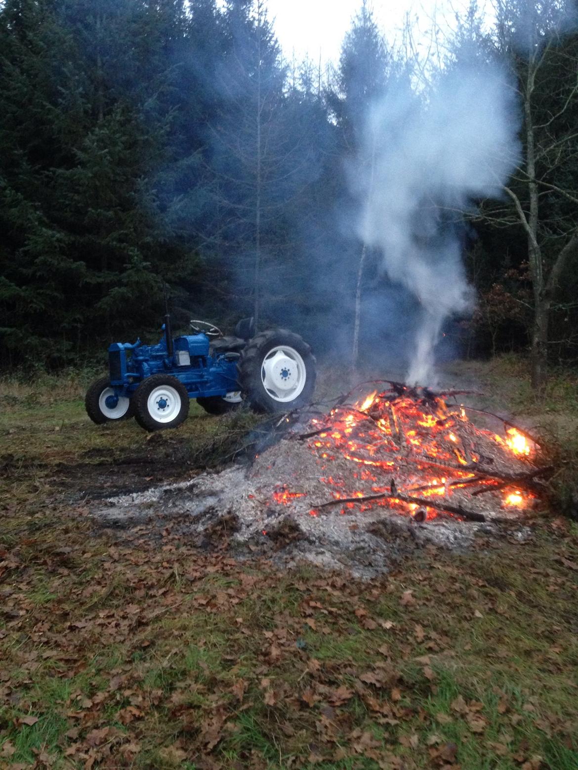 Fordson Dexta billede 22