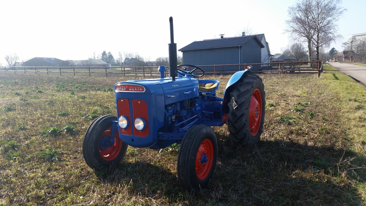 Fordson super dexta billede 2