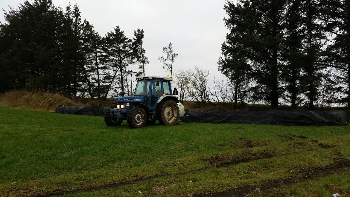 Ford 5610 billede 7