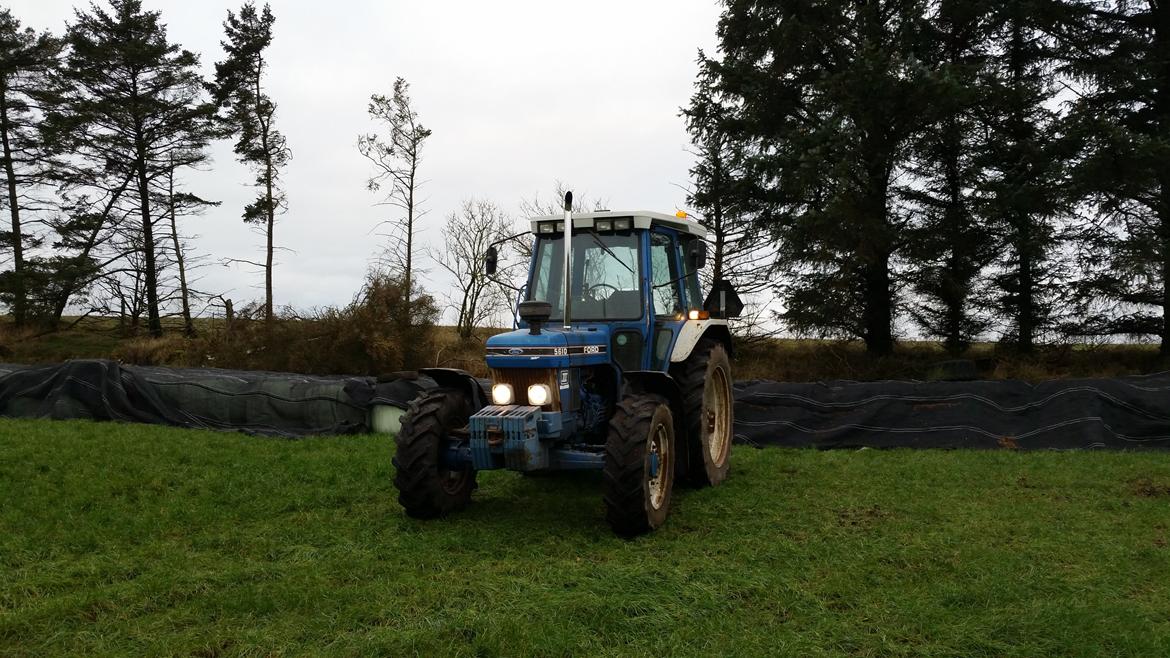 Ford 5610 billede 8