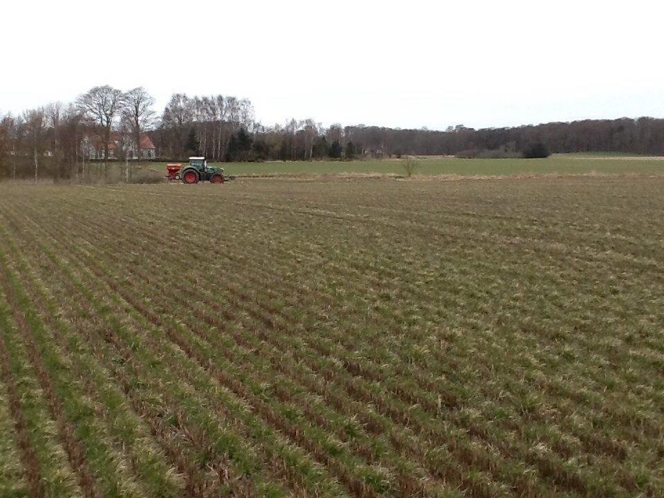 Fendt 933 - jeg køre gødning på frøgræs billede 38