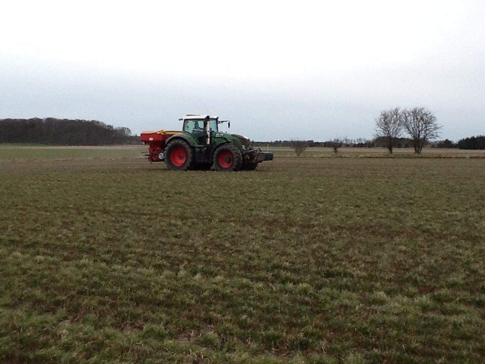 Fendt 933 - jeg køre gødning på frøgræs billede 39