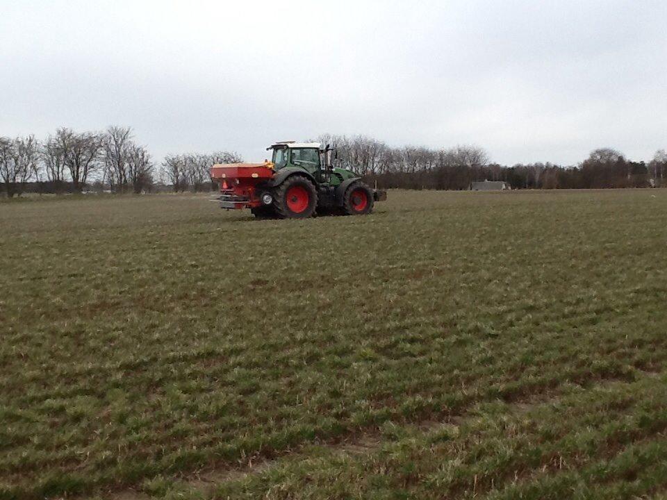 Fendt 933 - jeg køre gødning på frøgræs billede 40