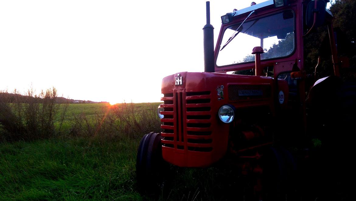 International Harvester B-275 - Dejlig aften sol billede 15