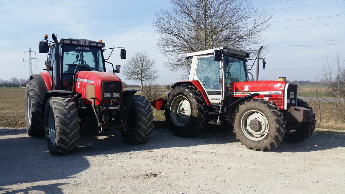 Massey Ferguson 8250 billede 16