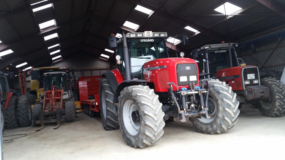 Massey Ferguson 8250 billede 19