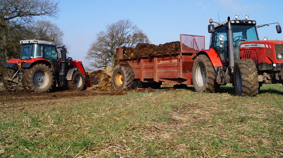 Massey Ferguson 7475 DYNA VT billede 10