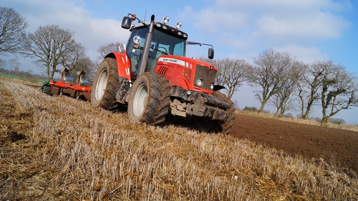 Massey Ferguson 7475 DYNA VT billede 11